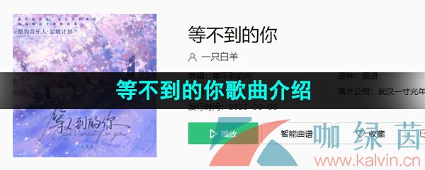 《抖音》等不到的你歌曲介绍