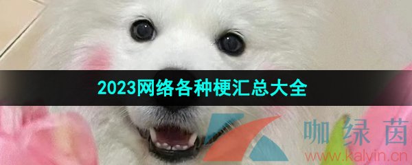 2023年网络各种热门梗汇总大全