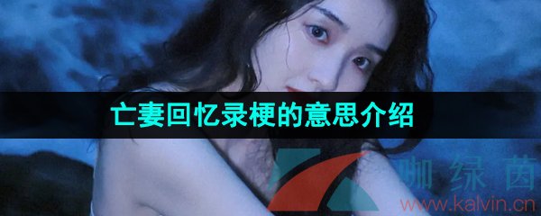 网络用语亡妻回忆录梗的意思介绍