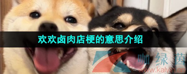 《抖音》欢欢卤肉店梗的意思介绍