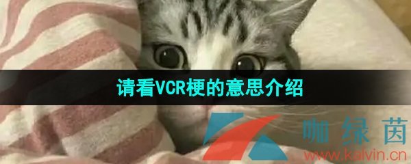 《抖音》请看VCR梗的意思介绍