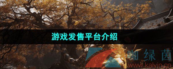 《黑神话悟空》游戏发售平台介绍